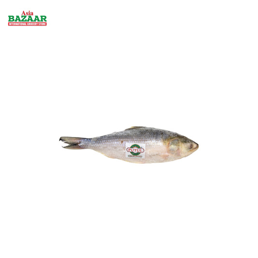 FZ HILSHA FISH (12/15)